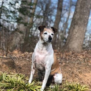 Meet your Posher, Adriana